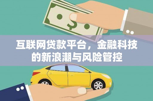 伸港互联网贷款平台，金融科技的新浪潮与风险管控