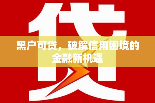 伸港黑户可贷，破解信用困境的金融新机遇
