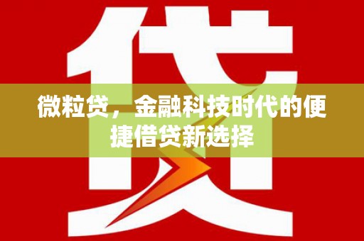 伸港微粒贷，金融科技时代的便捷借贷新选择