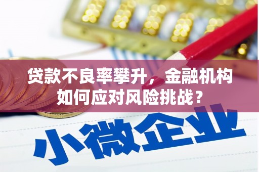 伸港贷款不良率攀升，金融机构如何应对风险挑战？