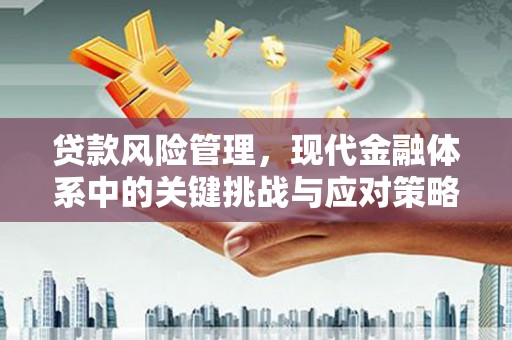 伸港贷款风险管理，现代金融体系中的关键挑战与应对策略