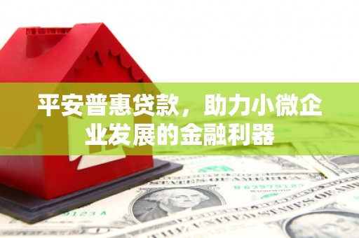 伸港平安普惠贷款，助力小微企业发展的金融利器