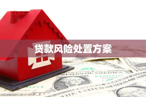 伸港贷款风险处置方案