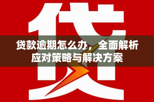 伸港贷款逾期怎么办，全面解析应对策略与解决方案