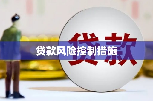 伸港贷款风险控制措施