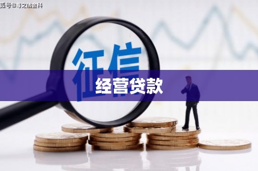 伸港经营贷款