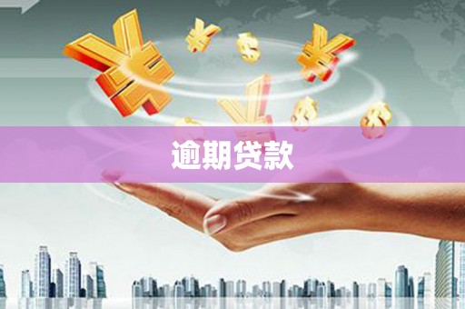 伸港逾期贷款
